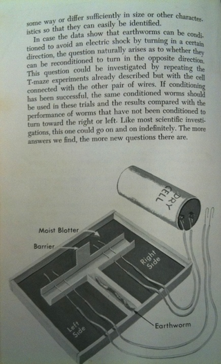 Illustration for article titled Scenes from terrible, creepy, and outdated library books